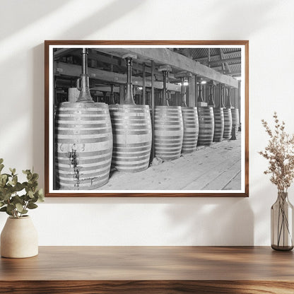 Perique Tobacco Aging Barrels Saint James Parish 1938
