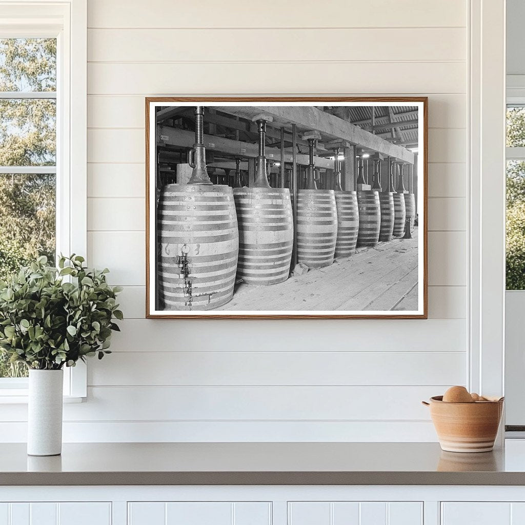 Perique Tobacco Aging Barrels Saint James Parish 1938