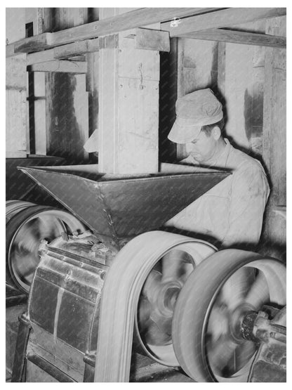 Rice Milling Machine Operation in Crowley Louisiana 1938