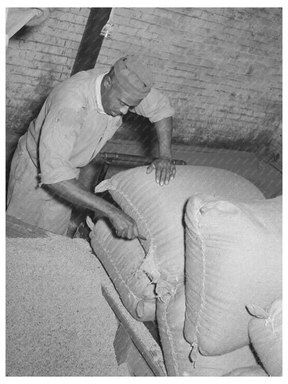 Rice Milling Workers Slitting Sacks in Crowley 1938