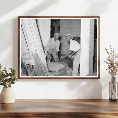 Rice Conveyors in Abbeville Louisiana 1938