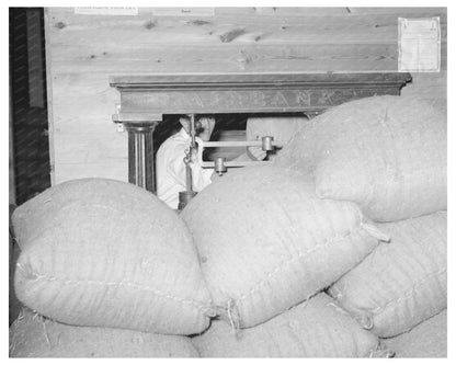 Rice Weighing Process at Abbeville Mill Louisiana 1938