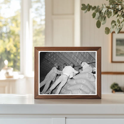 Rice Workers Stacking Sacks in Abbeville Louisiana 1938