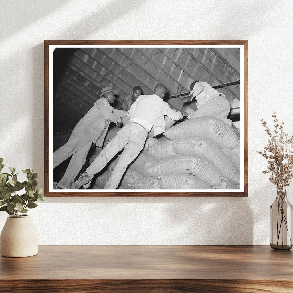 Rice Workers Stacking Sacks in Abbeville Louisiana 1938