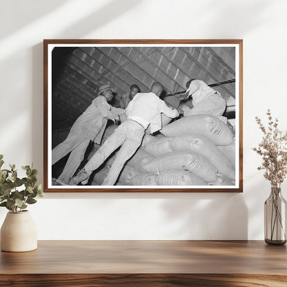 Rice Workers Stacking Sacks in Abbeville Louisiana 1938