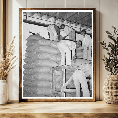 Stacking Strawrice in Abbeville Louisiana September 1938