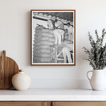 Stacking Strawrice in Abbeville Louisiana September 1938