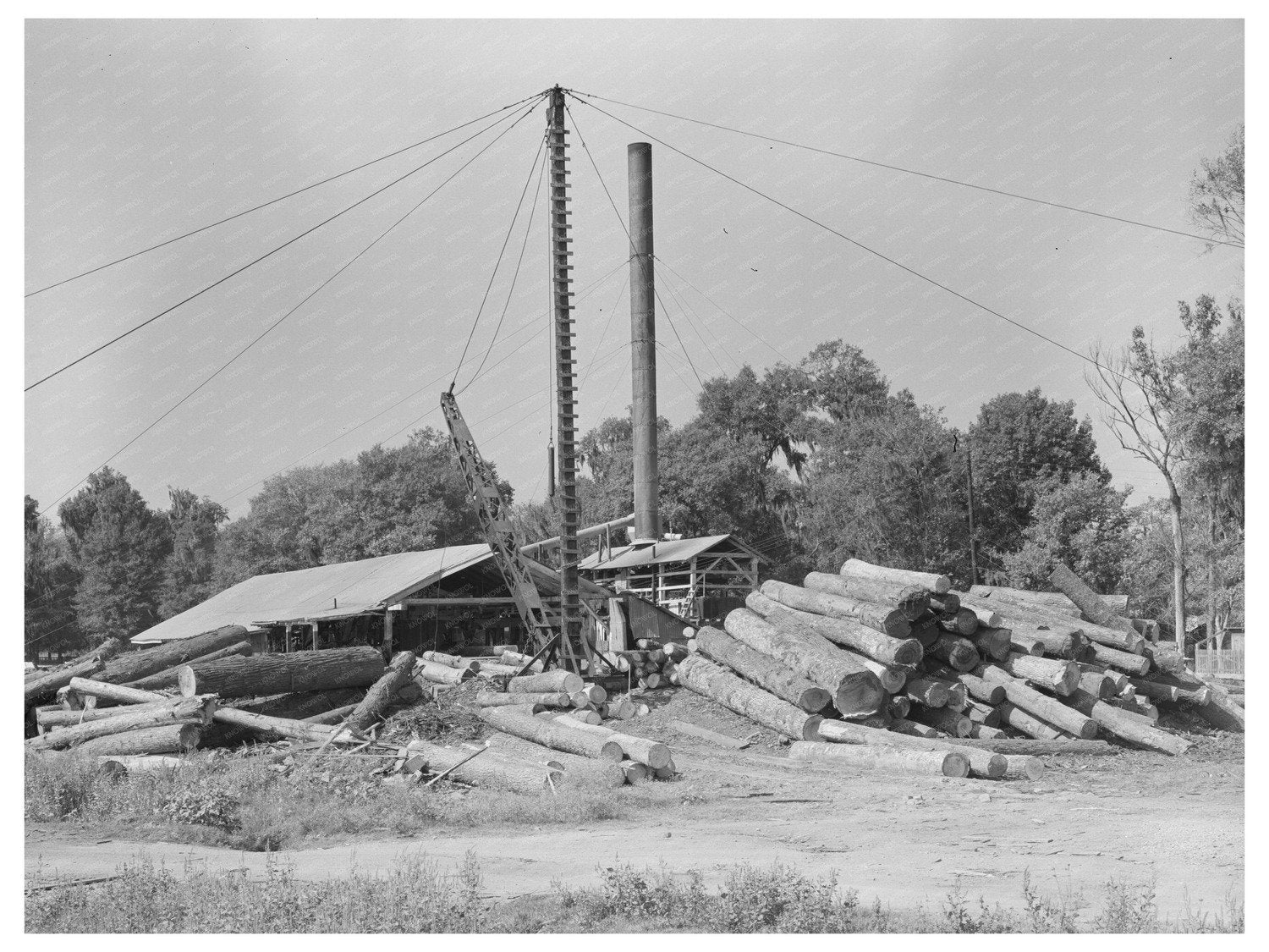 Sorrento Louisiana Lumber Mill Vintage Photo 1938