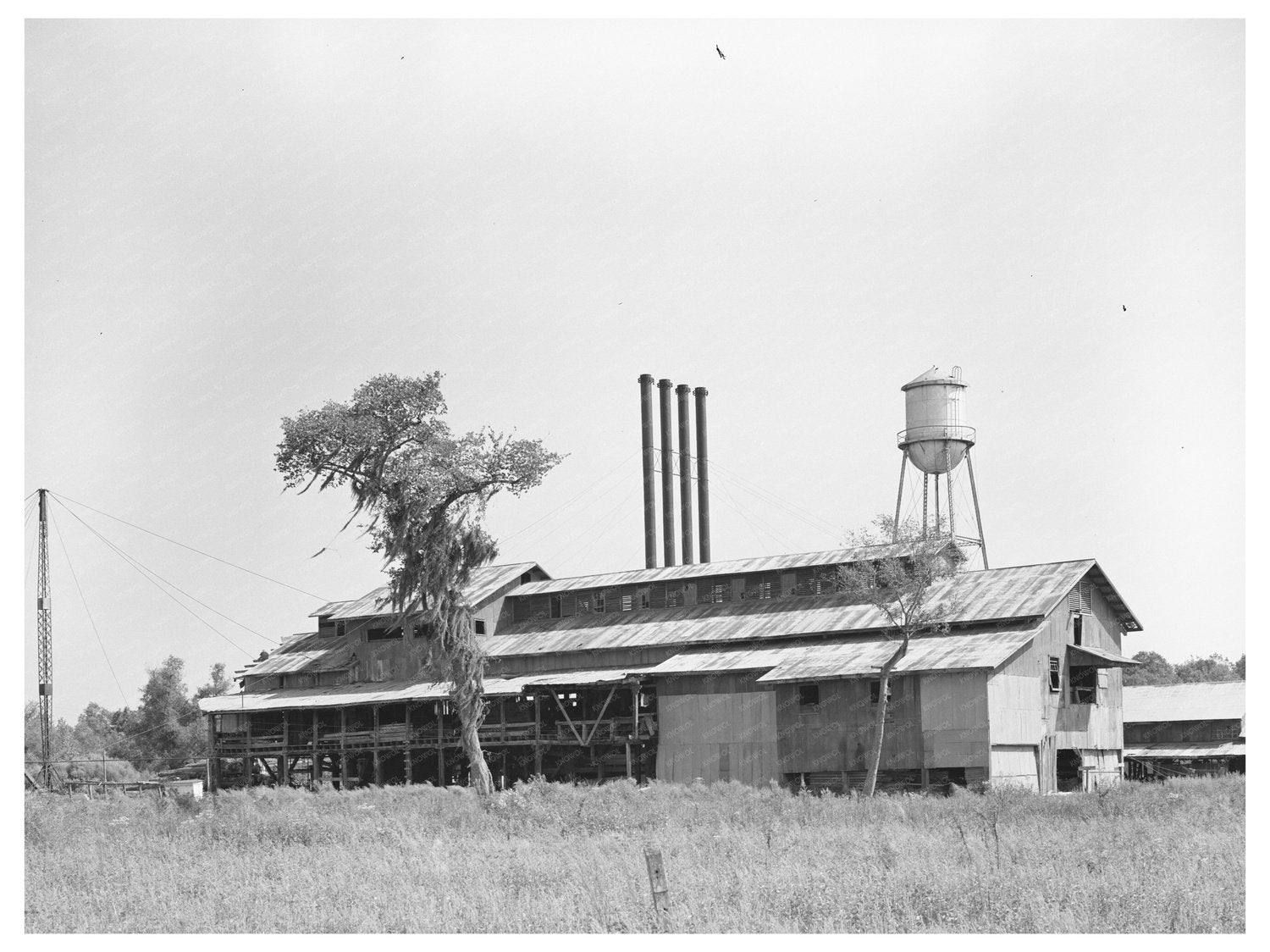 Sorrento Louisiana Lumber Mill October 1938 Image
