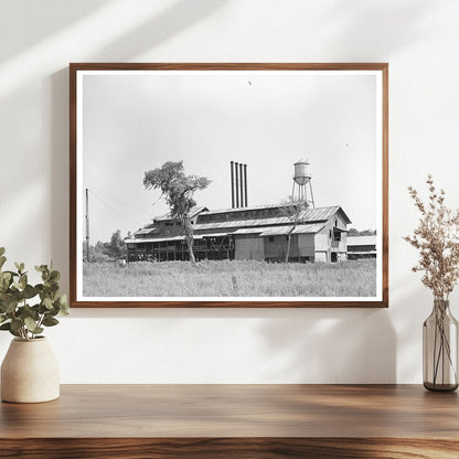 Sorrento Louisiana Lumber Mill October 1938 Image