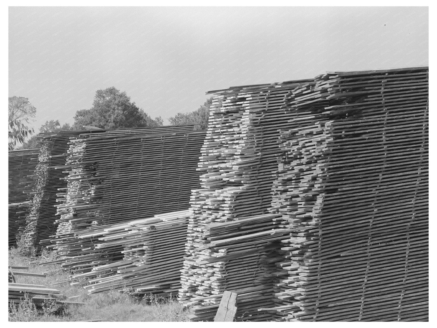 Sorrento Louisiana Lumber Mill October 1938 Photo