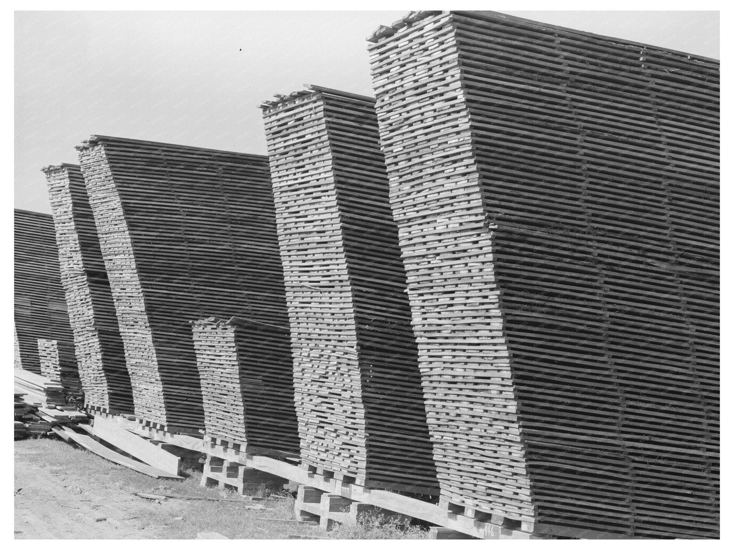 Sawmill Lumber Industry in Sorrento Louisiana 1938