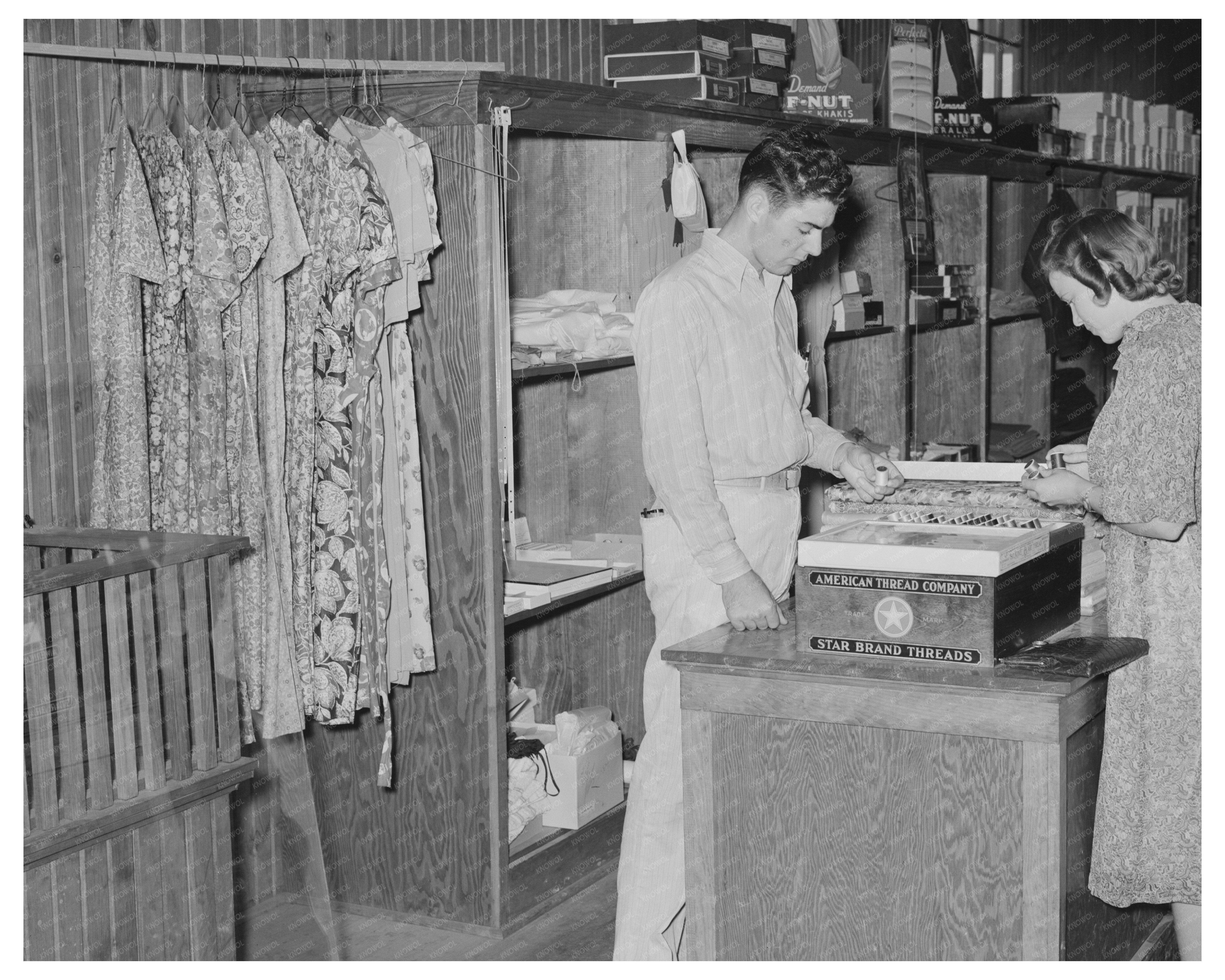 General Store Dress and Dry Goods Counter Arkansas 1938