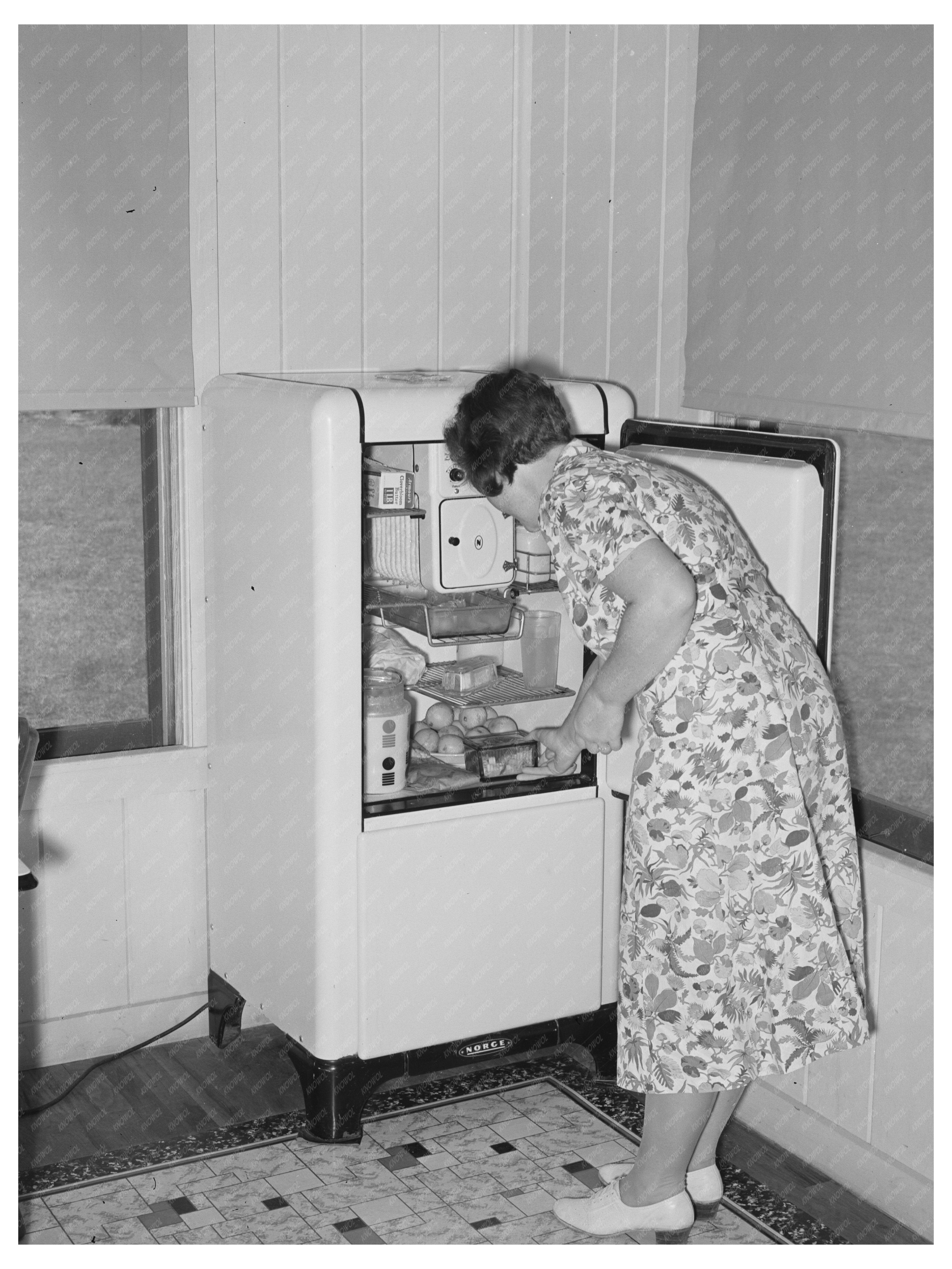 Housewife Using Electric Refrigerator in Arkansas Farm 1938