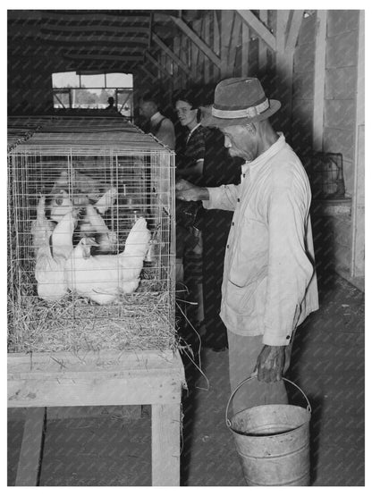 Farm Worker Tending Chickens South Louisiana State Fair 1938