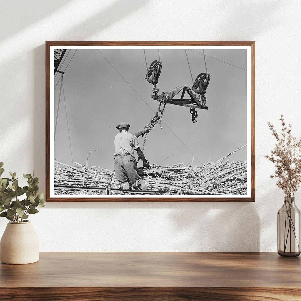 Man Hoisting Sugarcane at Louisiana Sugar Mill 1938