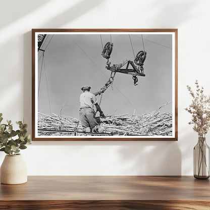 Man Hoisting Sugarcane at Louisiana Sugar Mill 1938