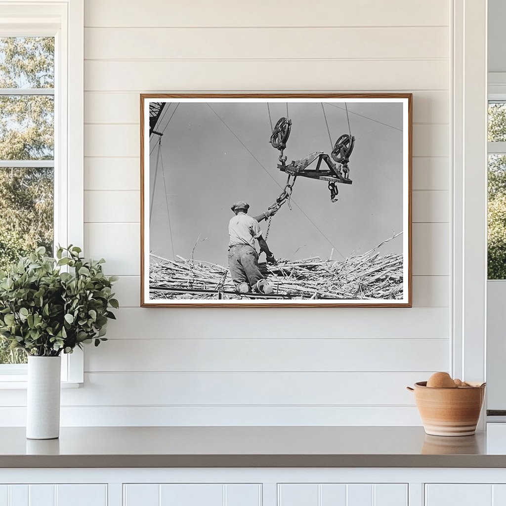Man Hoisting Sugarcane at Louisiana Sugar Mill 1938