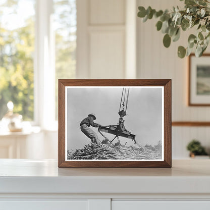 Workers Hoisting Sugarcane Bundles Louisiana 1938