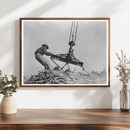 Workers Hoisting Sugarcane Bundles Louisiana 1938