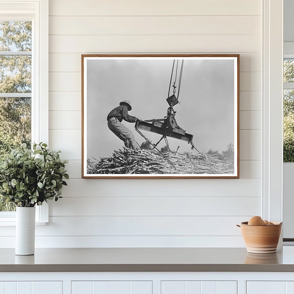 Workers Hoisting Sugarcane Bundles Louisiana 1938