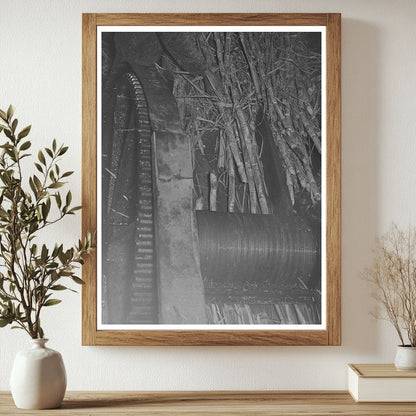 Sugarcane Crushing Process at Louisiana Sugar Mill 1938