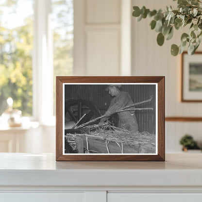 Workers Feeding Sugarcane at Louisiana Sugar Mill 1938