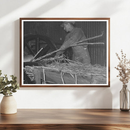 Workers Feeding Sugarcane at Louisiana Sugar Mill 1938