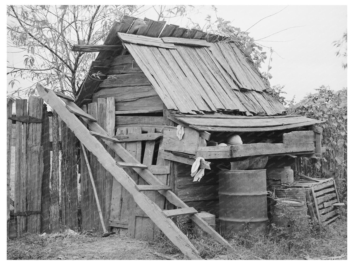 Vintage Farm Shed near Morganza Louisiana October 1938