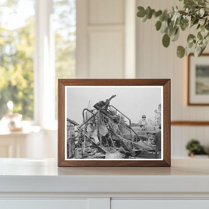 Sugarcane Harvester in New Roads Louisiana October 1938