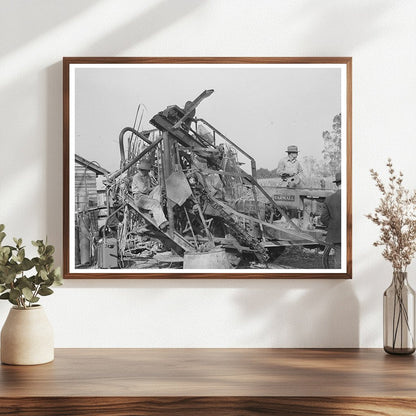 Sugarcane Harvester in New Roads Louisiana October 1938