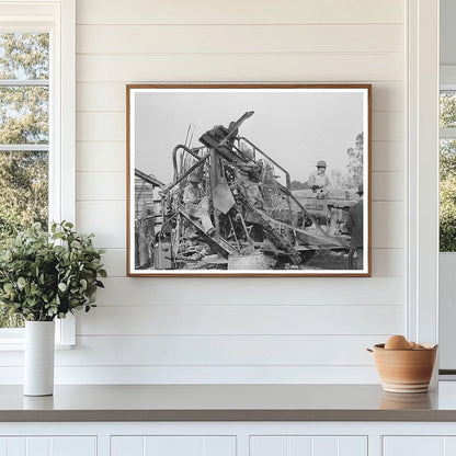 Sugarcane Harvester in New Roads Louisiana October 1938