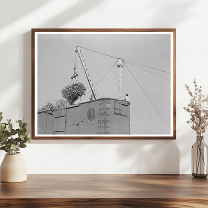 Sugarcane Loading in Delcambre Louisiana October 1938