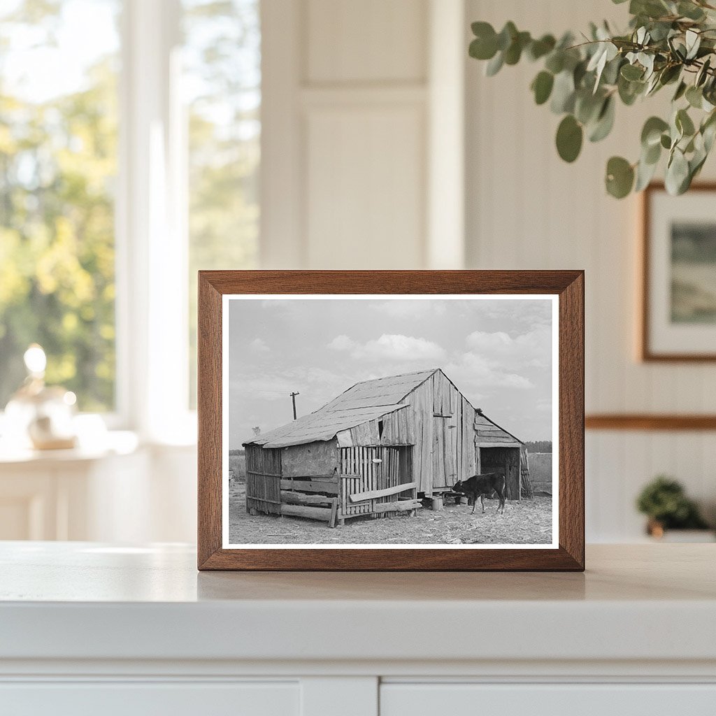 Vintage Barn at Emil Kimball Farm Louisiana 1938