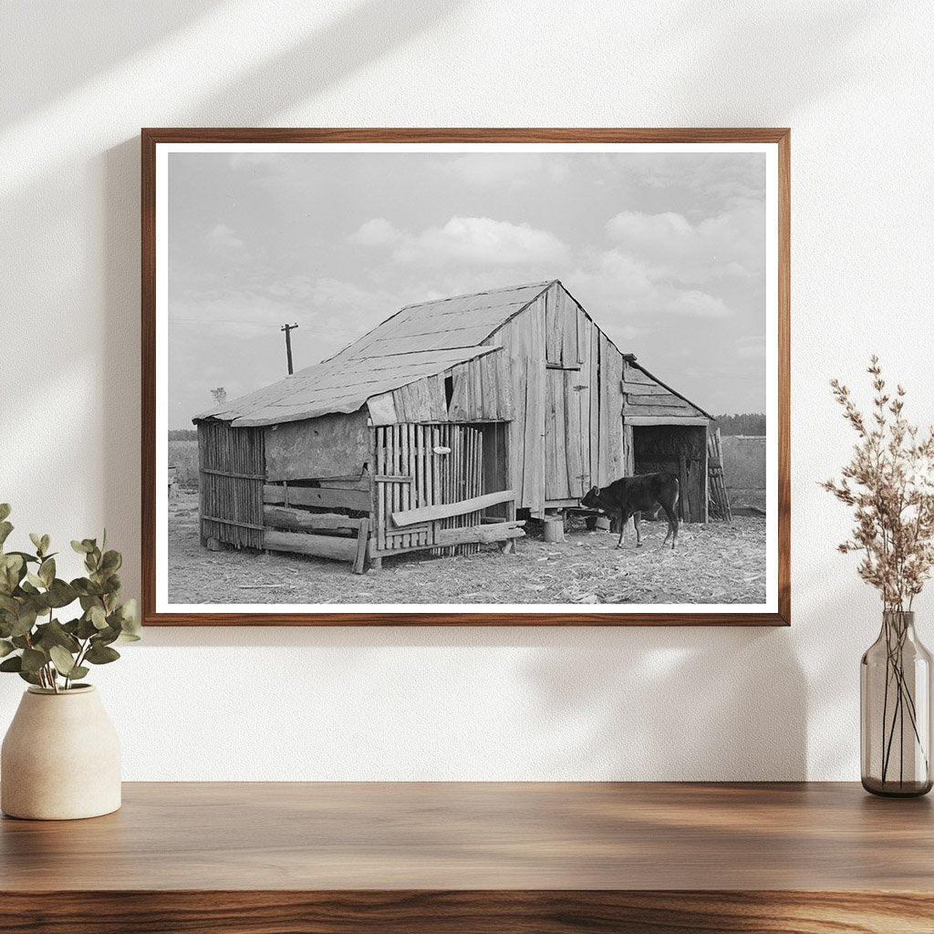 Vintage Barn at Emil Kimball Farm Louisiana 1938