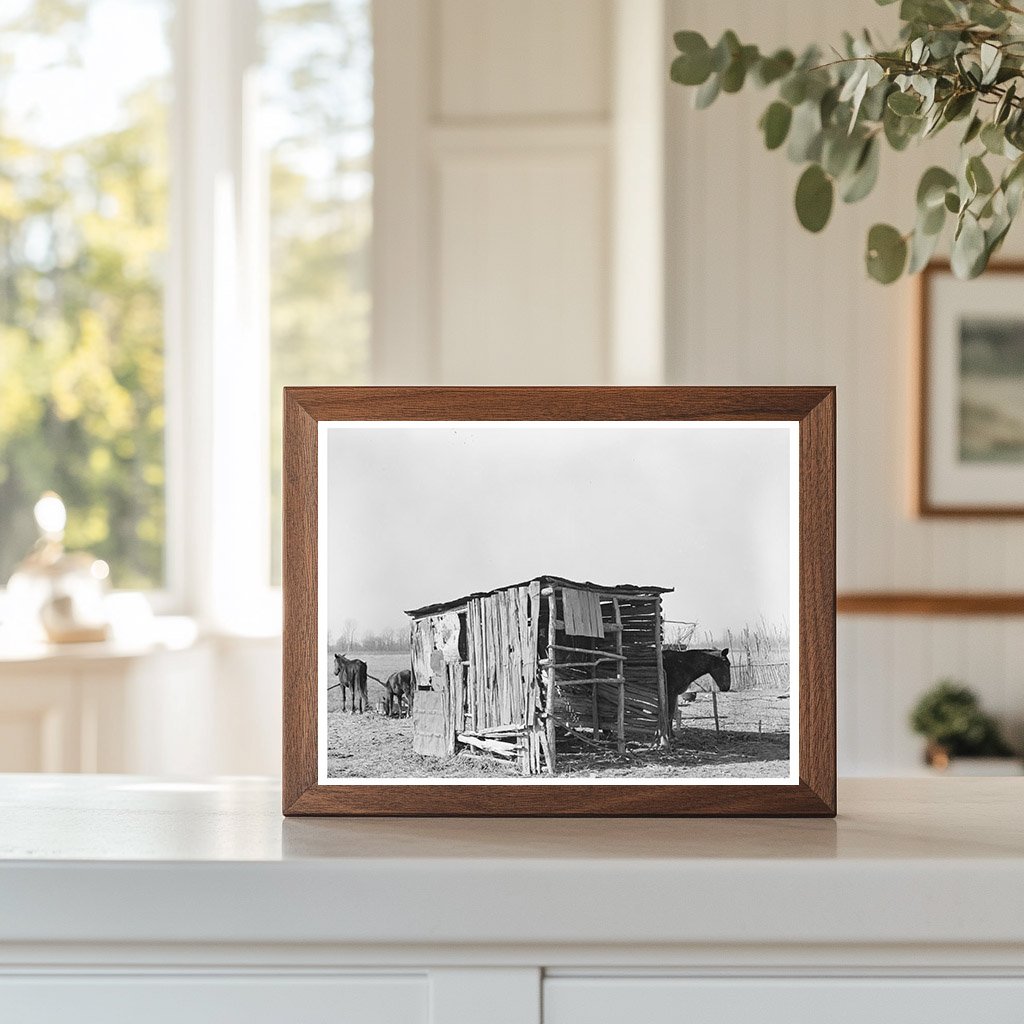 Mule and Horse Shed East Carroll Parish Louisiana 1939