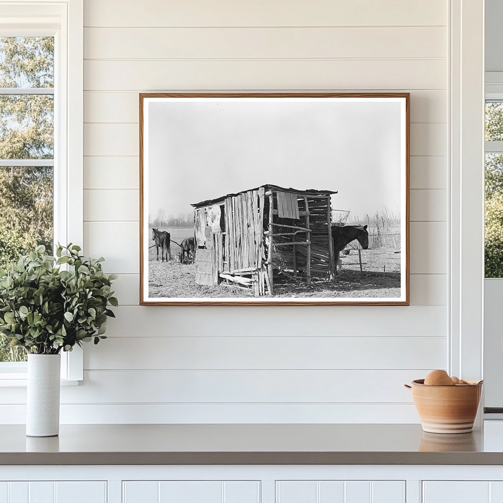 Mule and Horse Shed East Carroll Parish Louisiana 1939