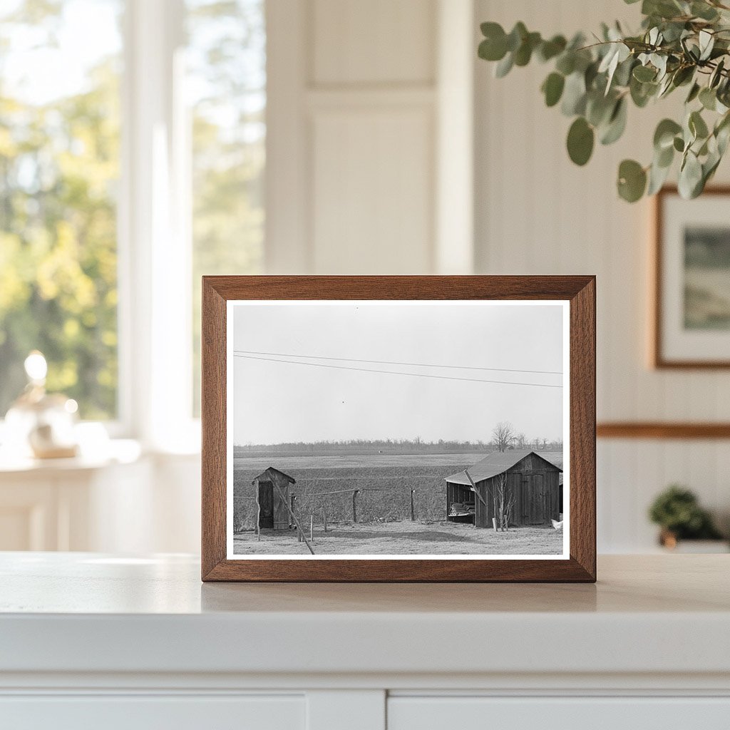 Farmyard in Chicot County Arkansas January 1939