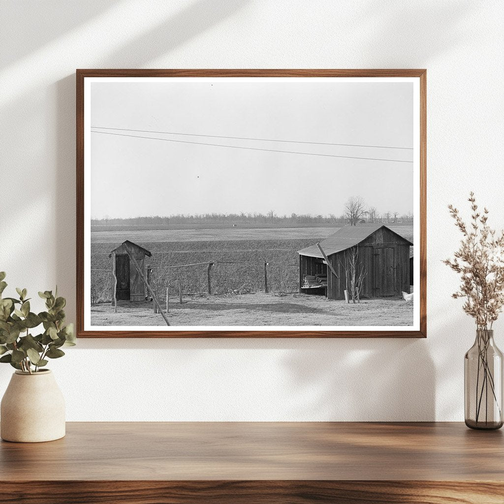 Farmyard in Chicot County Arkansas January 1939