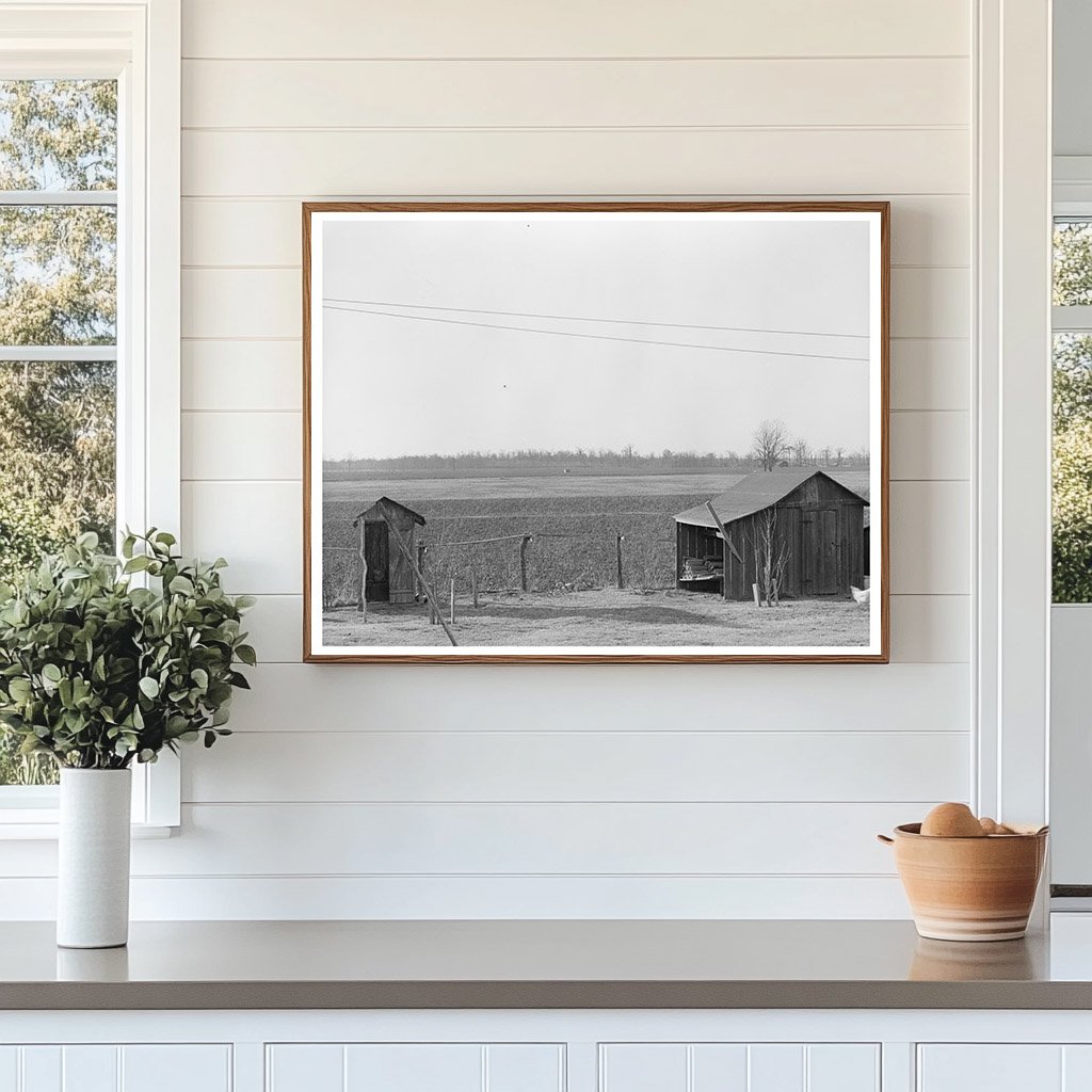 Farmyard in Chicot County Arkansas January 1939