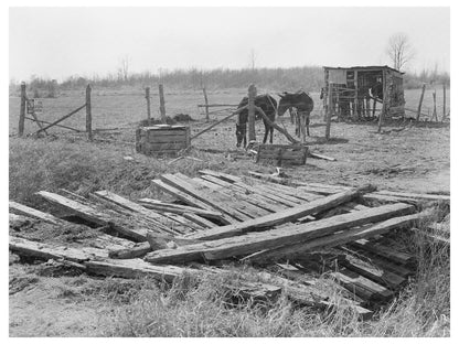 Transylvania Project Farmstead January 1939 Image