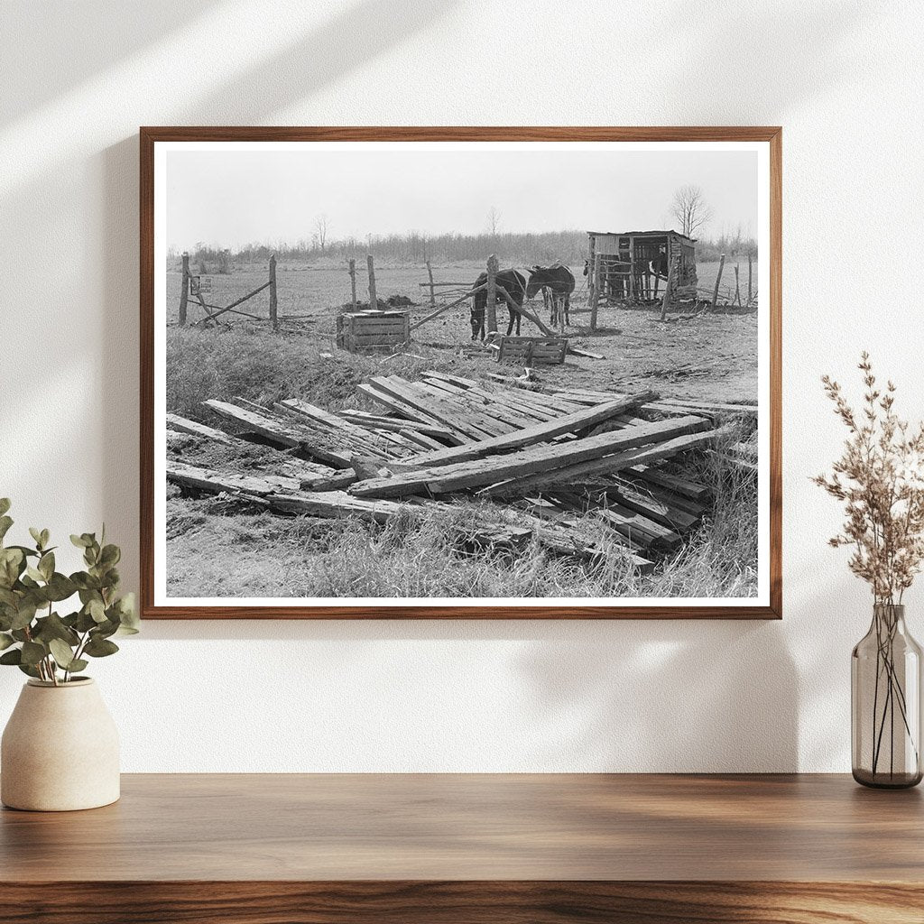 Transylvania Project Farmstead January 1939 Image