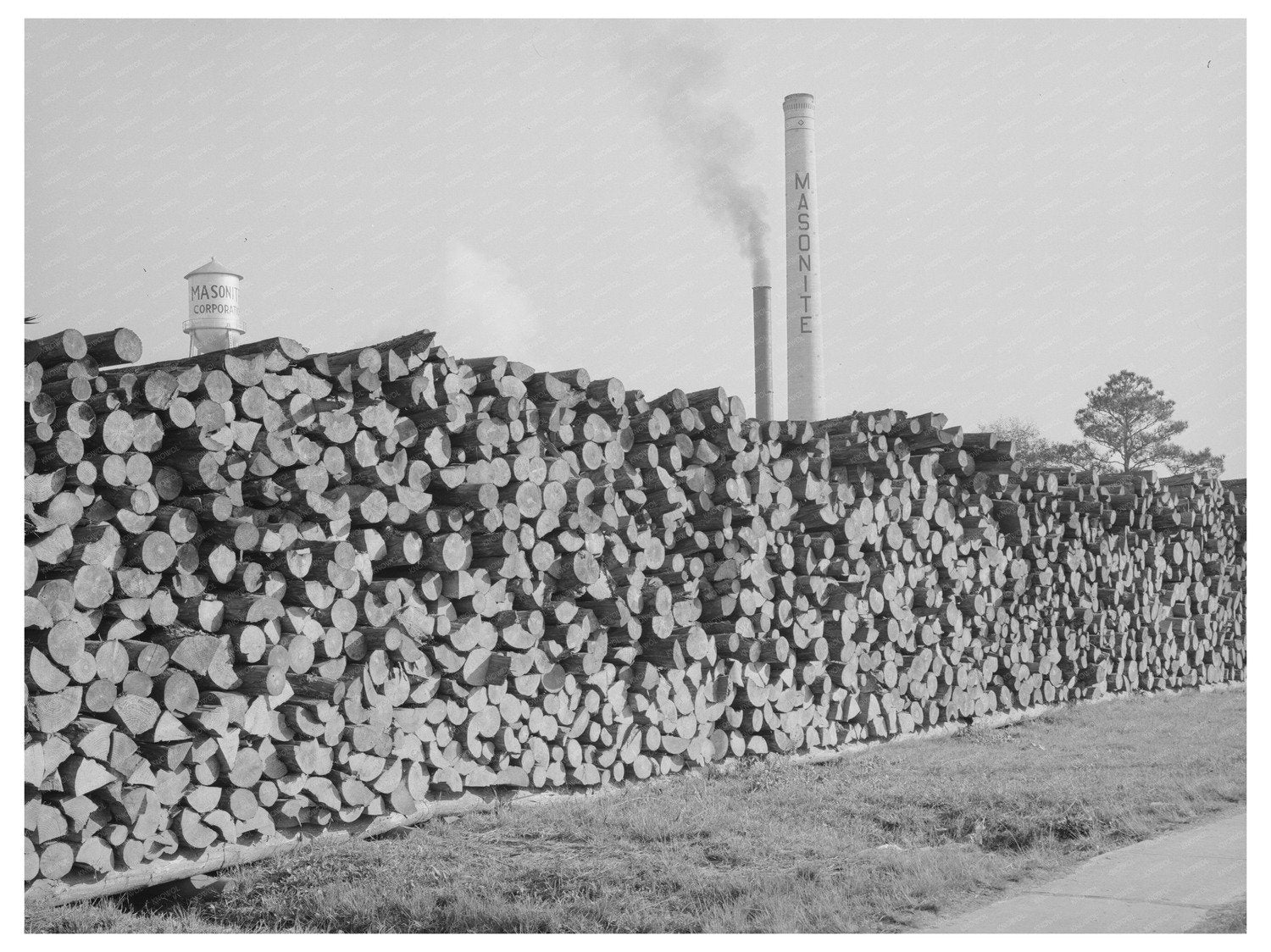 Vintage Logs from Masonite Corporation January 1939