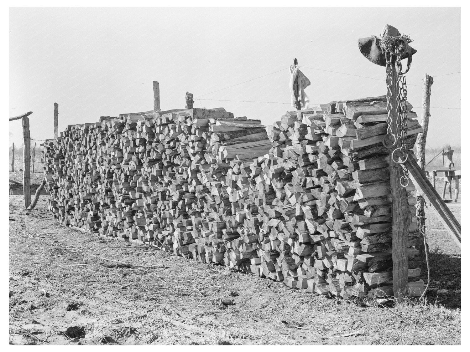 Vintage Farm Wood Pile East Carroll Parish Louisiana 1939