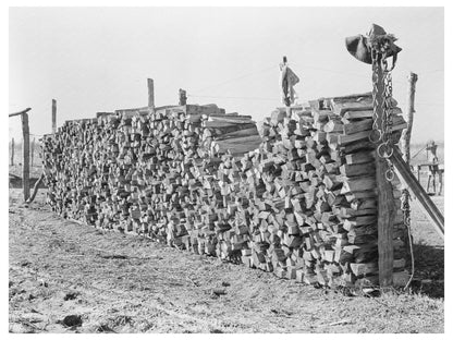 Vintage Farm Wood Pile East Carroll Parish Louisiana 1939