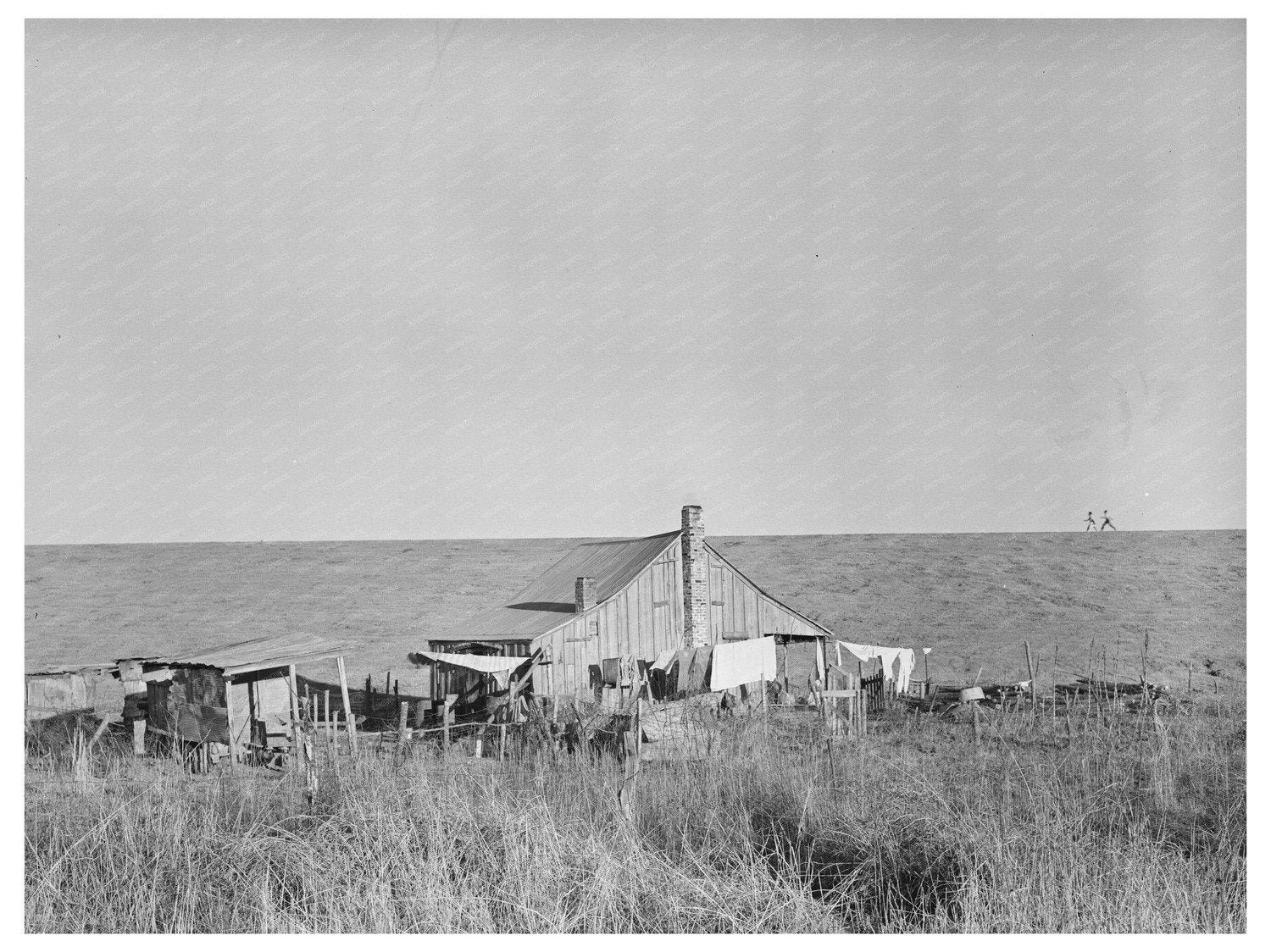 Sharecroppers Farmstead near Lake Providence Louisiana 1939