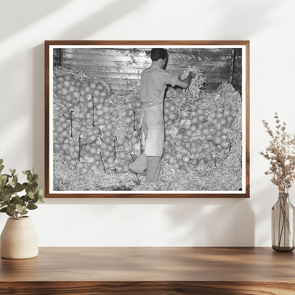 Grapefruit Packing Process Weslaco Texas February 1939