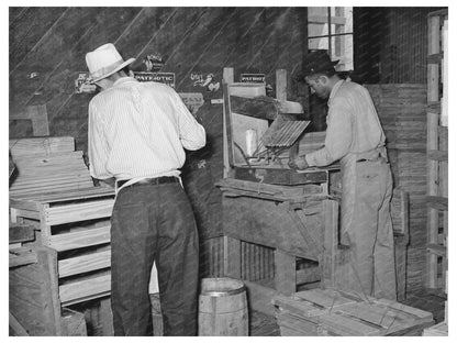 Mexican Box Makers at Alamo Texas Vegetable Plant 1939