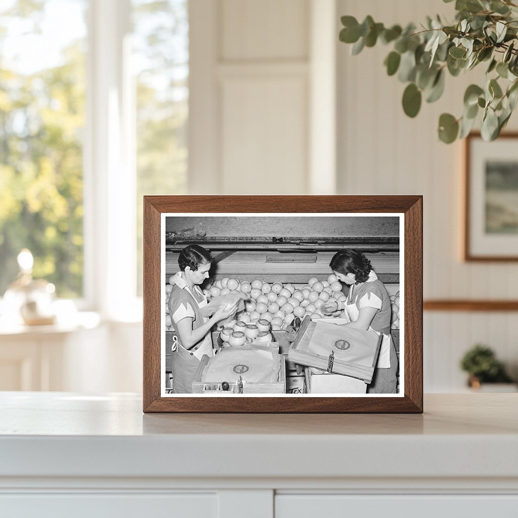 Grapefruit Packing Process in Weslaco Texas 1939