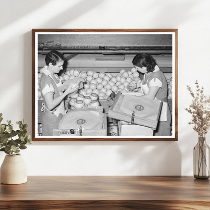 Grapefruit Packing Process in Weslaco Texas 1939